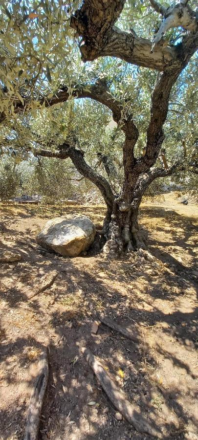 The Byzantine Wall House Isthmia Buitenkant foto